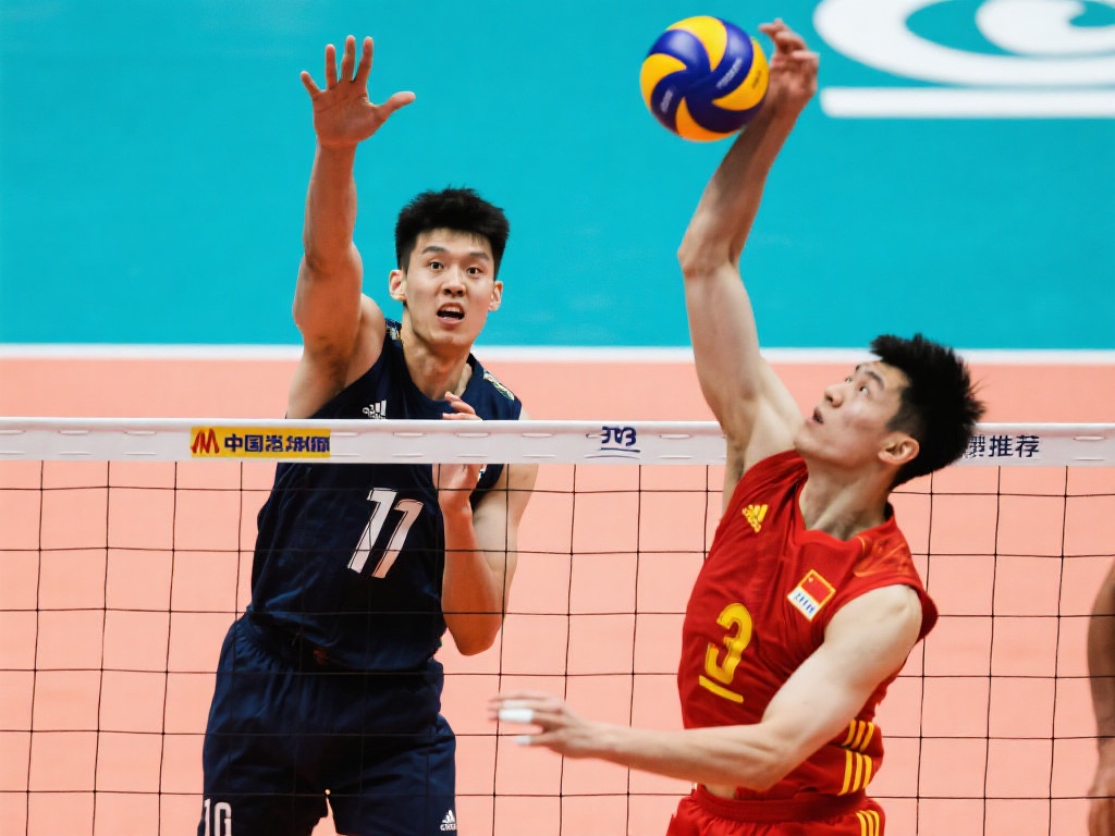 他的回归 他的回归